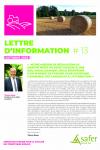 Lettre d'information #13