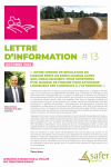 Lettre d'information #13