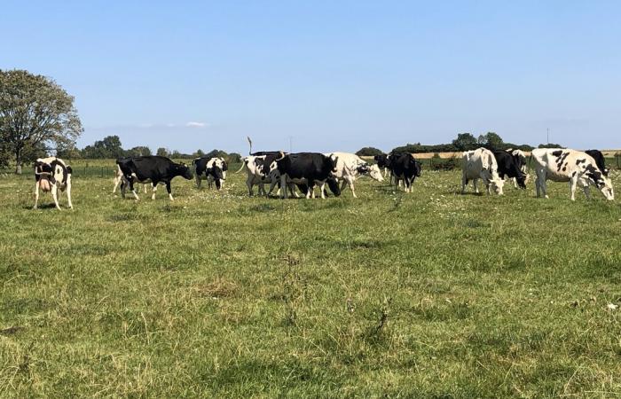 Deux jeunes agriculteurs pour succéder à deux retraités