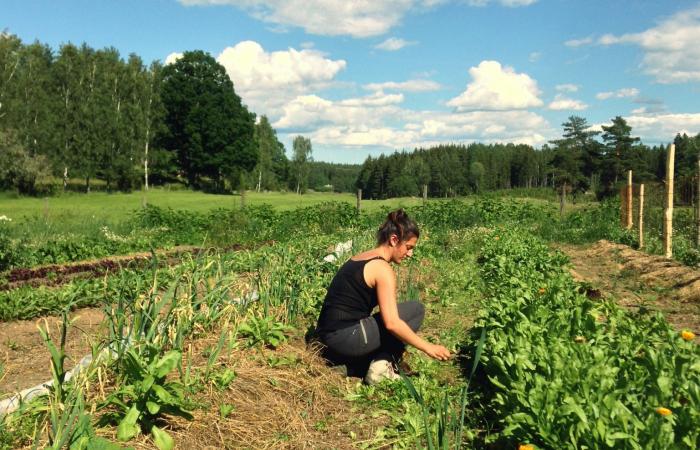 La Ferme d'Après de Camille Chatton-Legat