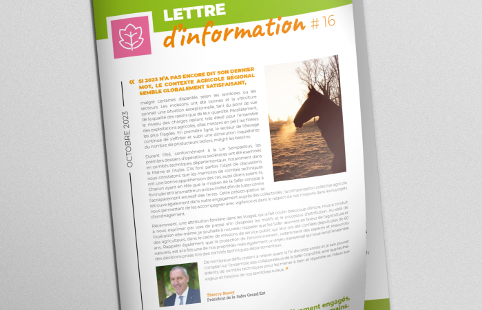 Notre lettre d'information #16 est disponible ! 