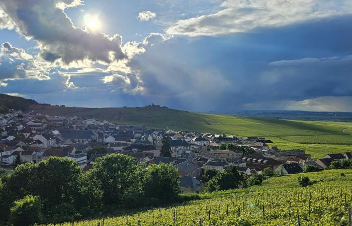 Le prix des terres 2023 en Grand Est